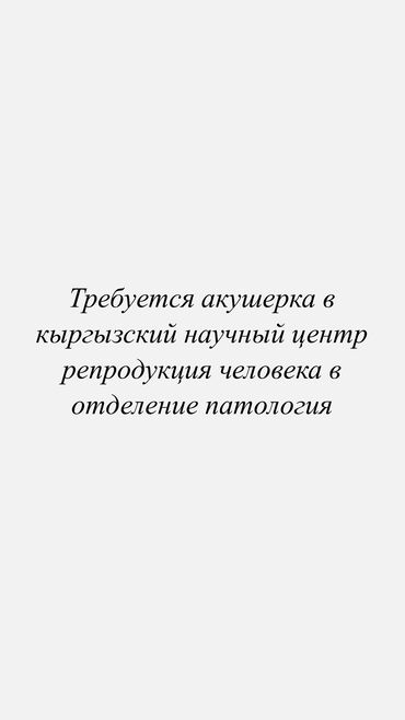 учитель начальных классов без опыта работы: Медайым