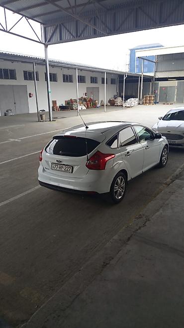 ford focus 2000: Ford Focus: 1.6 l | 2014 il 83000 km Sedan — 2