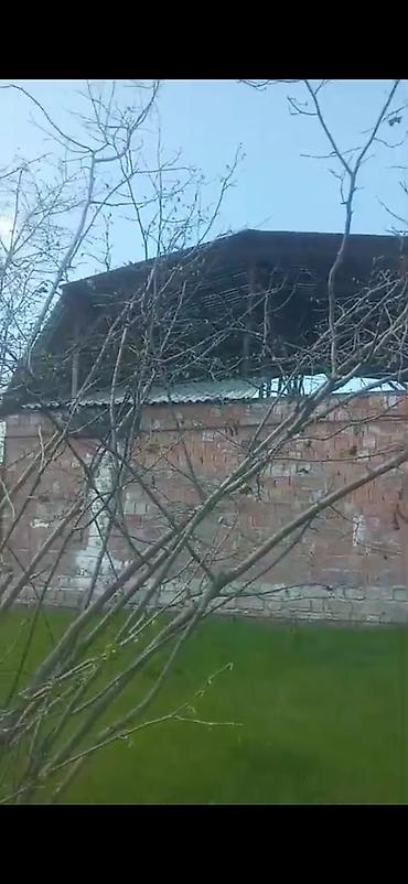 Torpaq sahələrinin satışı: Kənd təsərrüfatı — 6