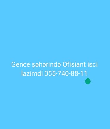 part time ofisiant: Ofisiant tələb olunur, Kafe, Gündəlik ödəniş, İstənilən yaş, Təcrübəsiz