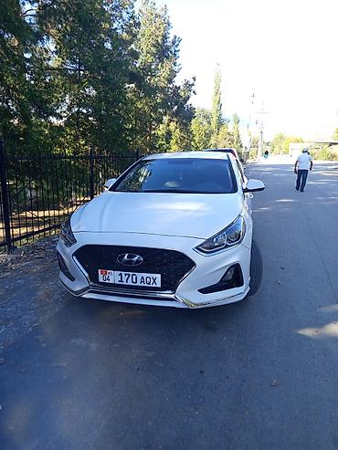 Hyundai Sonata: 2019 г., 0.2 л, Автомат, Газ, Седан at lalafo.kg Hyundai Sonata: 2019 г., 0.2 л, Автомат, Газ, Седан