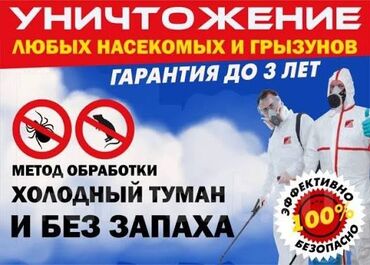 цены на строительные работы в бишкеке 2023 год: Услуги по уничтожению любых насекомых и грызунов. - Метод обработки