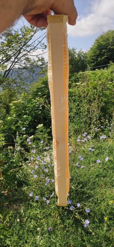 Bal: ELF BEE'S 1977 ECO-PRODUCT FOR HEALTH AND LONGEVITY Tovuzun -da lalafo.az — 17 Bal: ELF BEE'S 1977 ECO-PRODUCT FOR HEALTH AND LONGEVITY Tovuzun — 17