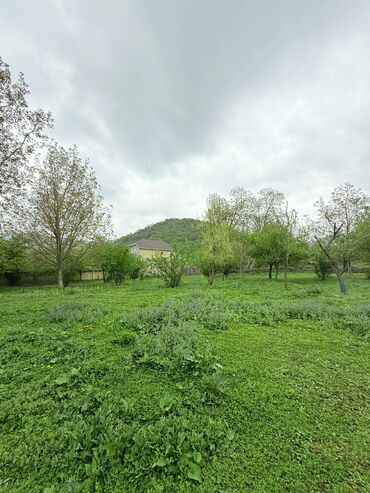Torpaq sahələrinin satışı: 15 sot, Tikinti, Mülkiyyətçi, Kupça (Çıxarış) — 8