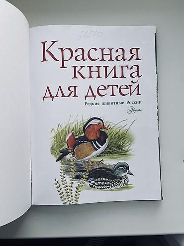 Детские книги: Книга: «Красная книга для детей. Редкие животные России» Автор: Сергей — 2