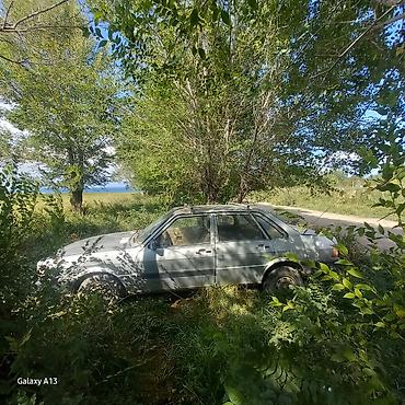 фильтр замена: Руль Audi 1981 г., Б/у — 5