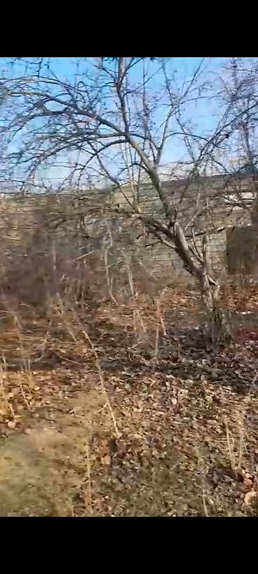 Torpaq sahələrinin satışı: 6 sot, Kupça (Çıxarış) — 14