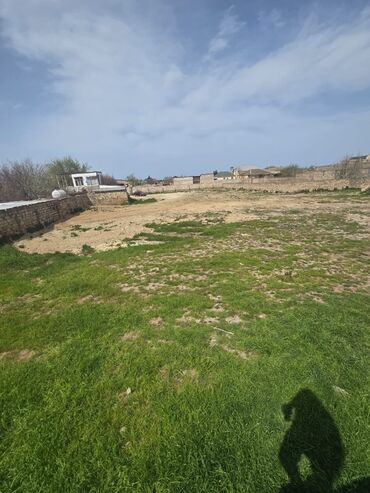 Torpaq sahələrinin satışı: 25 sot, Tikinti, Mülkiyyətçi, Kupça (Çıxarış) -da lalafo.az — 19 Torpaq sahələrinin satışı: 25 sot, Tikinti, Mülkiyyətçi, Kupça (Çıxarış) — 19