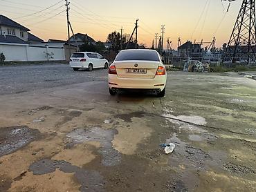 сапок бус бортовой: Skoda Octavia: 2016 г., 1.6 л, Робот, Бензин, Седан — 6