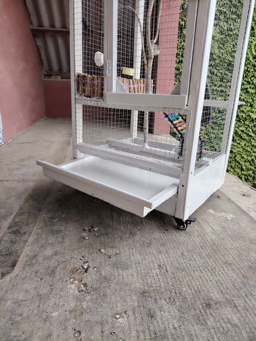 Qəfəslər: Əl işi taxda qəfəs qiyməti 160 azn real alıcılara endirim etmək olar — 10