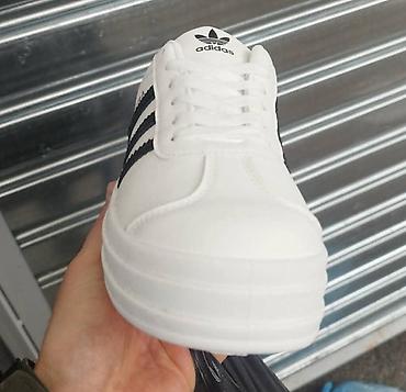 Patike: Patike, veličina - 52 — 12