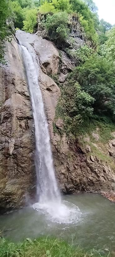 Torpaq sahələrinin satışı: TƏCİLİ SATILIR – Lerik, Hamarmeşə kəndi, 30-cu km Esas yola 50 metr — 11