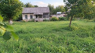 bakida satilan həyət evləri: 30 sot, Biznes üçün, Mülkiyyətçi, Kupça (Çıxarış) — 2