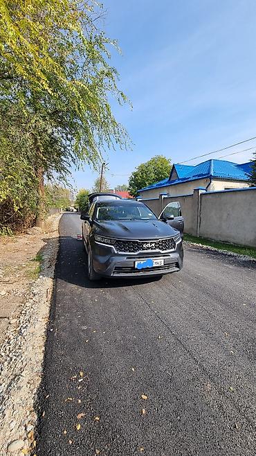 2022: Kia Sorento: 2022 г., 2.5 л, Автомат, Бензин, Кроссовер — 3