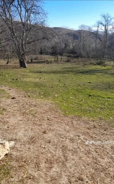 Torpaq sahələrinin satışı: 12 sot, Tikinti, Mülkiyyətçi, Bələdiyyə