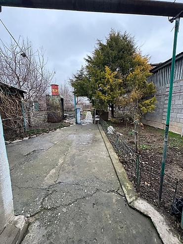 Продажа коттеджей и домов: Продаётся дом в селе Новопавловка 📍 ул. Корсаковых 🔷 Площадь дома — — 6