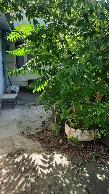 Продажа коттеджей и домов: Продаю дом район Рабочий городок, ул.Красная и ул.Кочкорская5 комнат — 13