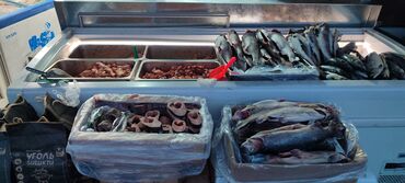 Торговые контейнеры: Дордой Фуд даяр бизнес точка сатылат! Продаётся готовый бизнес, точка at lalafo.kg — 6 Торговые контейнеры: Дордой Фуд даяр бизнес точка сатылат! Продаётся готовый бизнес, точка — 6