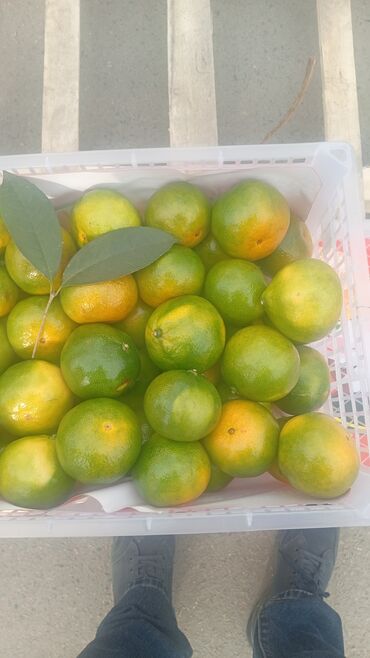 сколько стоит букет из мандаринов: Мандарины Оптом