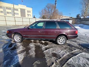 Audi: Audi 100: 1991 г., 2.3 л, Механика, Бензин, Универсал — 12