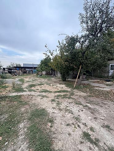 мира ахунбаева: ‼️ ПРОДАЁТСЯ ПОЛДОМА В НОВОПАВЛОВКЕ 📍 с. Новопавловка, ул — 7