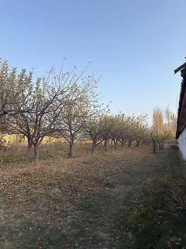 Продажа участков: 177 соток, Для бизнеса, Договор купли-продажи, Красная книга, Тех паспорт — 2