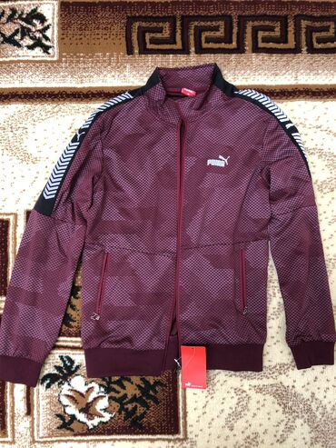 Спортивные костюмы: Мужской спортивный костюм, XL (EU 42), Puma, Новый
