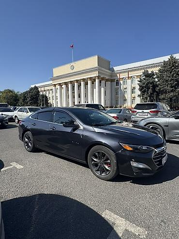 шевралеь: Chevrolet Malibu: 2022 г., 1.5 л, Автомат, Бензин, Седан — 4