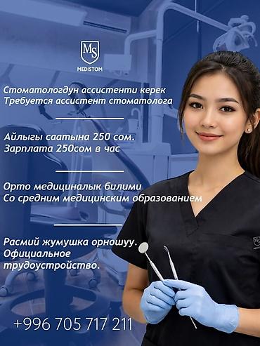 стоматолог процент: Медсестра. Площадь Ала-Тоо — 1
