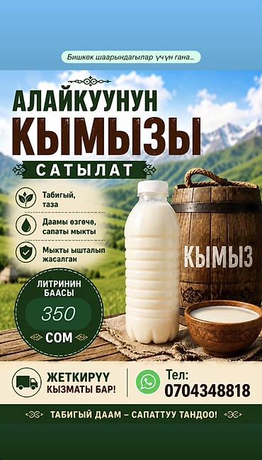 алма алам: 🐎 Алайкуунун нукура кымызы эми Бишкекте! Табигый даамды баалагандар — 1