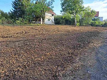 Usluge u domaćinstvu: Usluzno freziranje i uredjenje dvorista. Pretvorite zaraslo dvorište — 4