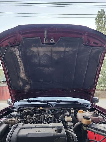 Daewoo: Daewoo Nexia: 2008 г., 1.6 л, Седан — 21
