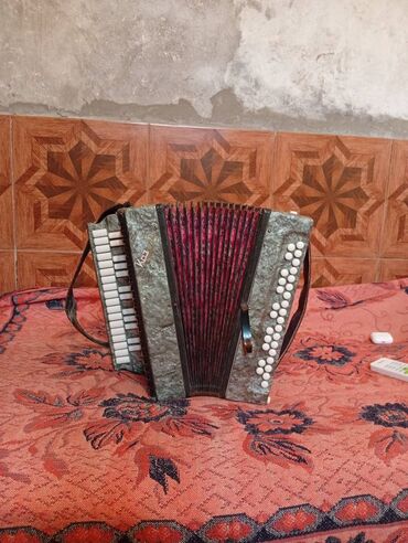 gitara capo: Akustik gitara, 12 sim, Yeni, Ödənişli çatdırılma