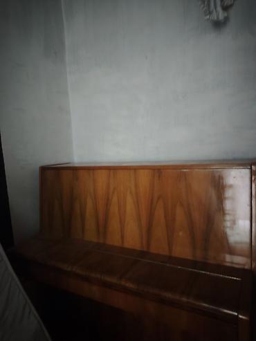 Musiqi alətləri: Ağac finişli pianino korpusu - Klassik üslubda, parlaq laklı ağac — 1