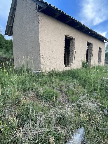 бишкек продаю дом село дордой 2: Для бизнеса, Красная книга