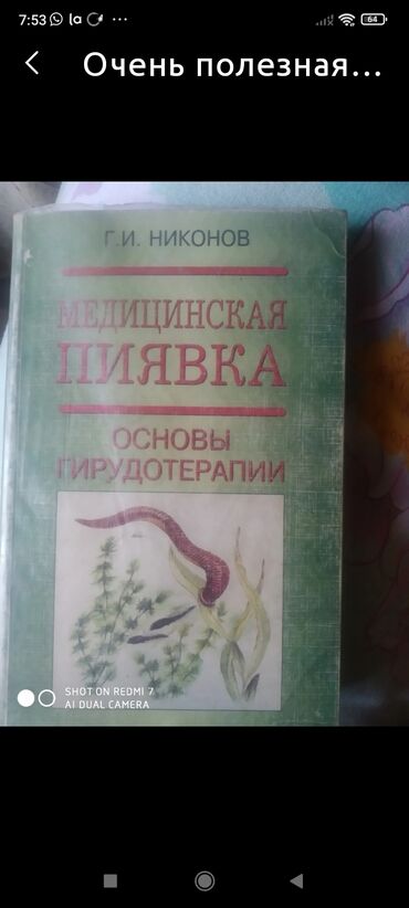 кожаная спортивная сумка: Полезное пособие очищение крови и организма. Г Ош