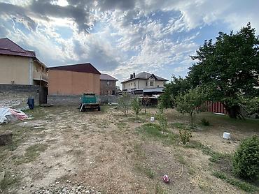 Продажа коттеджей и домов: 6 комнат и более, 250 м², 8 соток, Бишкек, Арча-Бешик ж/м Собственник — 9