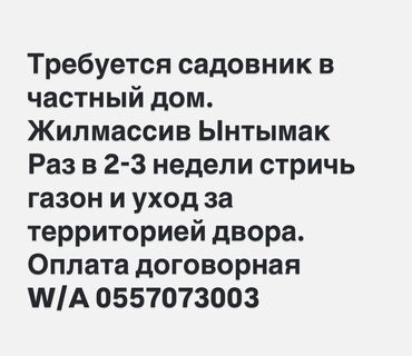 стрижка газона: Требуется садовник !!! Объём работ: — Стрижка газона — Прополка