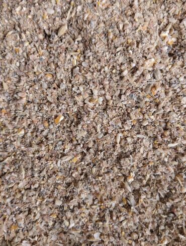 зоотовары оптом дордой: Корм для скота. Оптовые цены!!! корма высокого качества !!! Адрес