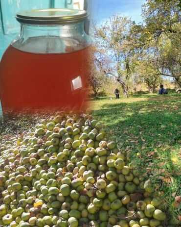 Яблоки: Яблоки Бабушкино, В розницу