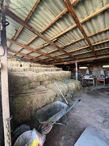 Кухонные гарнитуры: Кухонный гарнитур — 16