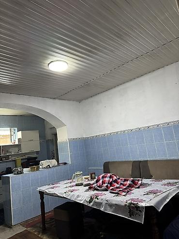 Продажа коттеджей и домов: Дом с участком - Участок с огородом: подготовленные грядки, плодовые — 15
