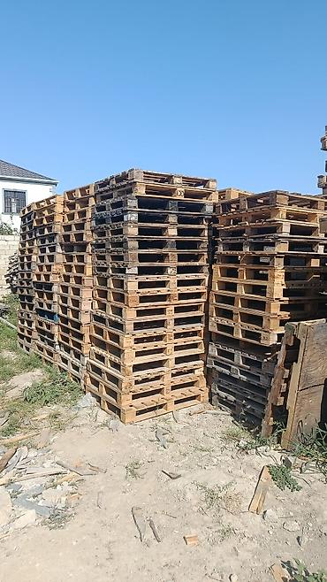 paddon palet: Pallet, 800 х 1200 sm — 1