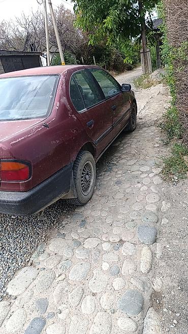 sp 4: Nissan Primera: 1990 г., 1.6 л, Механика, Бензин, Седан — 2