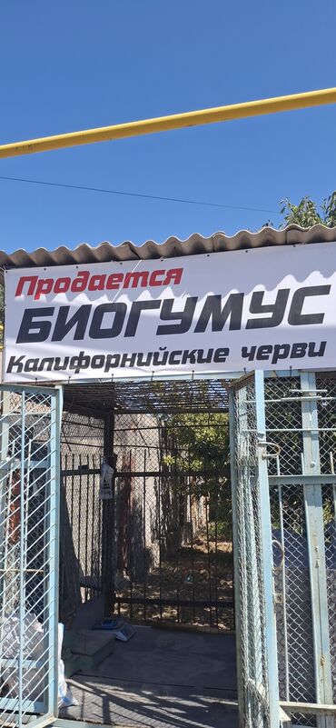 продаю уголь бишкек: Удобрение Гумус, Самовывоз, Бесплатная доставка, Платная доставка