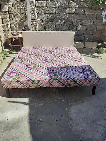 Kravat taza