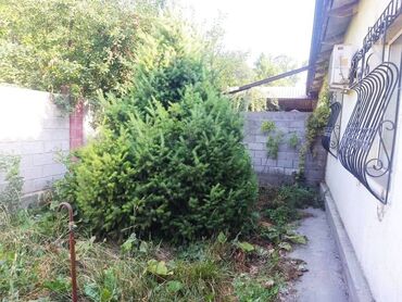 снять дом на долгий срок без посредников: 92 кв. м, 3 бөлмө, Евроремонт, Жертөлө, ороо, Забор, тосулган