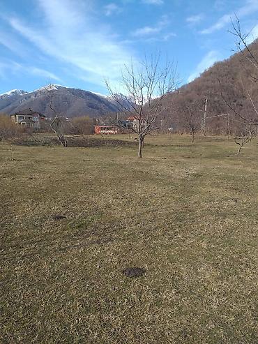 Torpaq sahələrinin satışı: Tikinti — 3