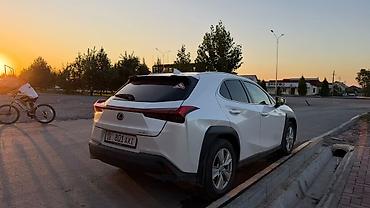 Lexus: Lexus UX: 2018 г., 2 л, Автомат, Бензин, Кроссовер — 2