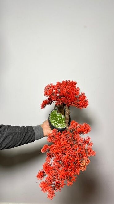 Süni güllər: Süni bonsai ağacı – dekorativ içməkan yaşıllaşdırma üçün - Realistik — 18